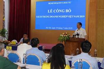 Sách trắng Doanh nghiệp Việt Nam 2019: Nhiều chỉ số tích cực về DN FDI