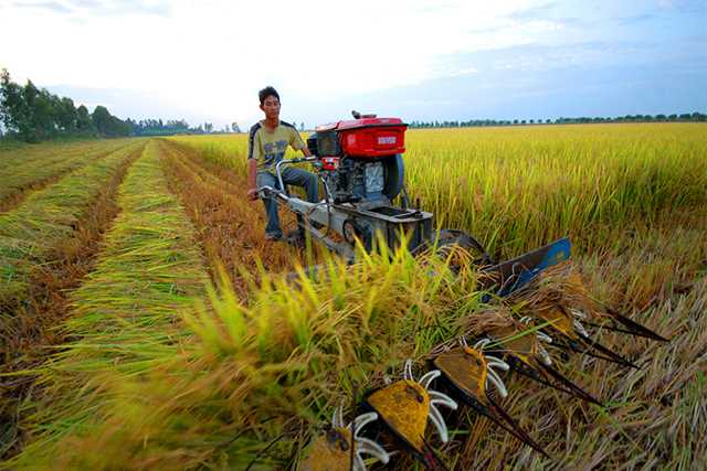 Miễn thuế sử dụng đất nông nghiệp: Cần bổ sung các quy định chặt chẽ hơn, tránh lãng phí nguồn lực đất đai