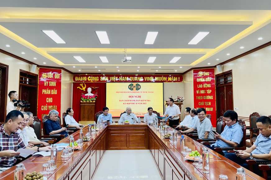 Hiệp hội Doanh nghiệp đầu tư nước ngoài tổ chức hội nghị Ban chấp hành, Ban kiểm tra