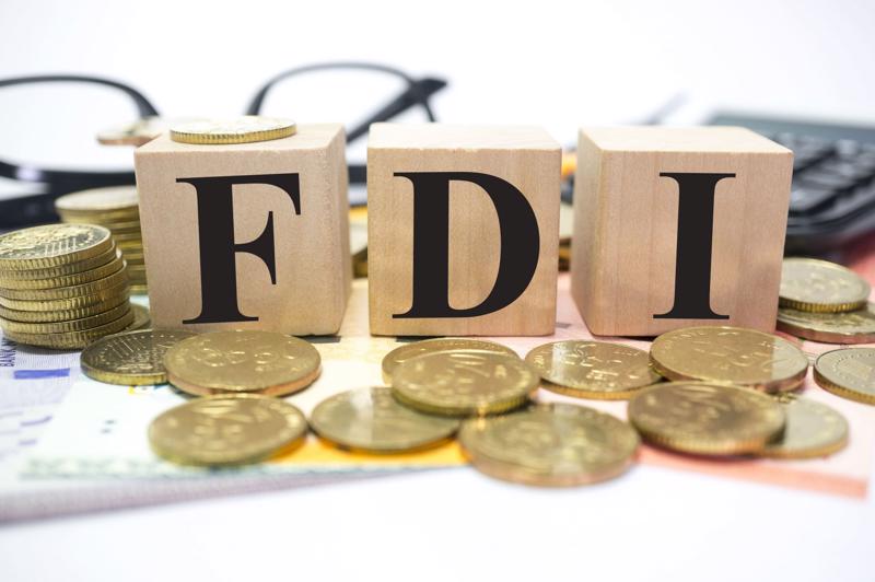 VAFIE lần đầu công bố Báo cáo thường niên FDI tại Việt Nam