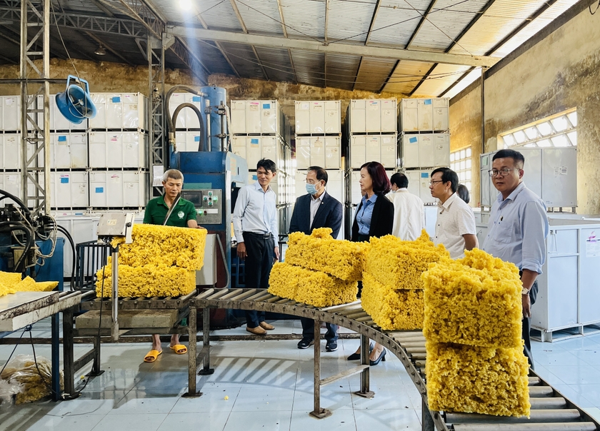 Đoàn công tác tiến hành kiểm tra thực tế tại Công ty TNHH một thành viên Cao su Chư Prông. Ảnh: Trần Dung Đoàn công tác tiến hành kiểm tra thực tế tại Công ty TNHH một thành viên Cao su Chư Prông. Ảnh: Trần Dung